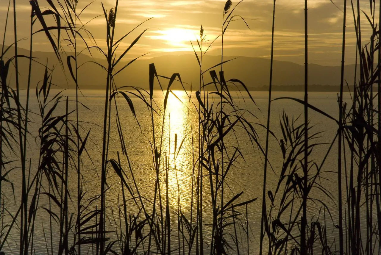 B&B La Pineta Orbetello